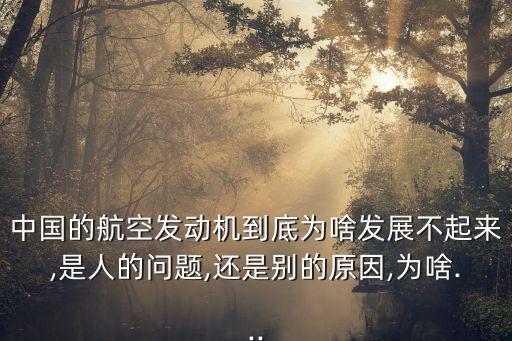 中國的航空發(fā)動(dòng)機(jī)到底為啥發(fā)展不起來,是人的問題,還是別的原因,為啥...