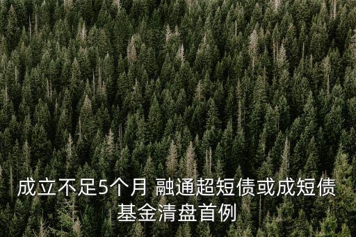 成立不足5個(gè)月 融通超短債或成短債基金清盤首例
