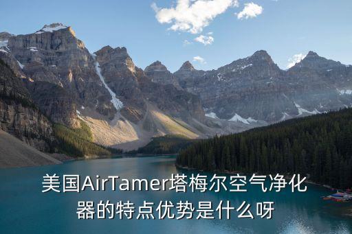 美國AirTamer塔梅爾空氣凈化器的特點(diǎn)優(yōu)勢是什么呀