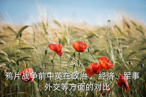 鴉片戰(zhàn)爭(zhēng)前中英在政治、 經(jīng)濟(jì)、軍事、外交等方面的對(duì)比