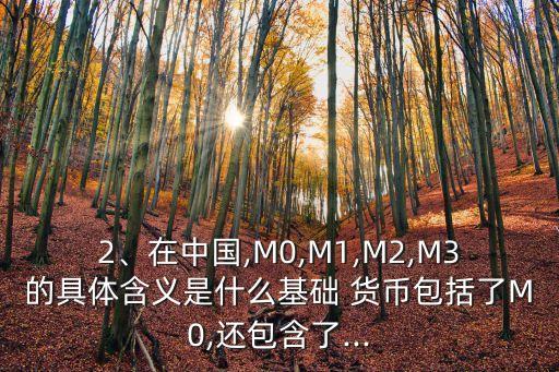 2、在中國(guó),M0,M1,M2,M3的具體含義是什么基礎(chǔ) 貨幣包括了M0,還包含了...