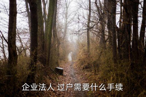 企業(yè)法人 過(guò)戶(hù)需要什么手續(xù)