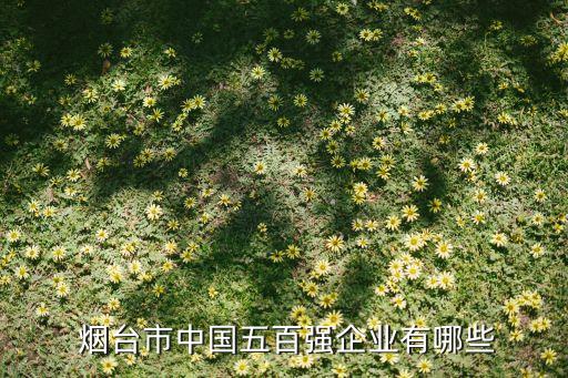  煙臺(tái)市中國(guó)五百強(qiáng)企業(yè)有哪些