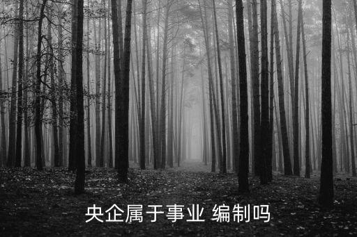 央企屬于事業(yè) 編制嗎