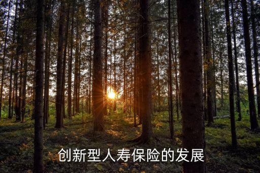  創(chuàng)新型人壽保險(xiǎn)的發(fā)展