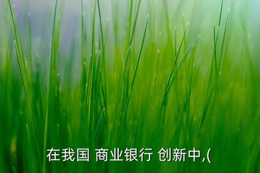 在我國(guó) 商業(yè)銀行 創(chuàng)新中,(