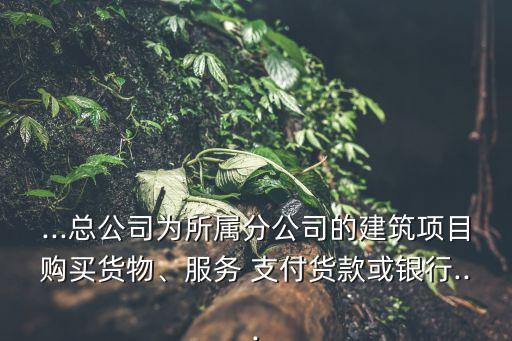...總公司為所屬分公司的建筑項(xiàng)目購(gòu)買(mǎi)貨物、服務(wù) 支付貨款或銀行...