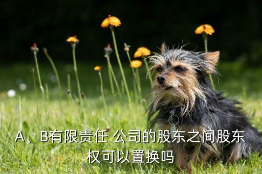 A、B有限責(zé)任 公司的股東之間股東權(quán)可以置換嗎