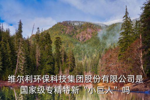  維爾利環(huán)?？萍技瘓F(tuán)股份有限公司是國(guó)家級(jí)專精特新“小巨人”嗎