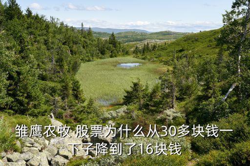 雛鷹農(nóng)牧 股票為什么從30多塊錢(qián)一下子降到了16塊錢(qián)