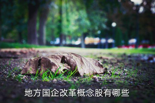 北京大龍地產(chǎn)負責(zé)人,大龍地產(chǎn)在北京的項目