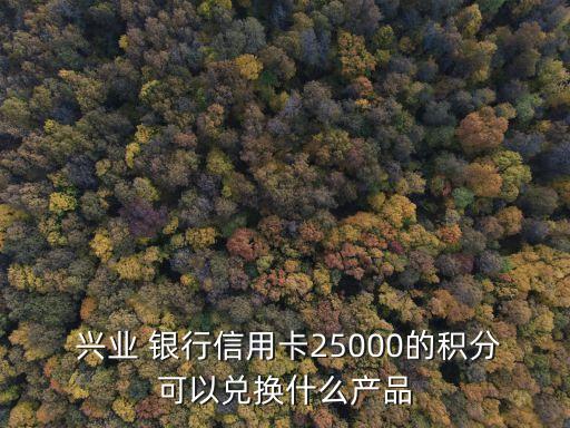  興業(yè) 銀行信用卡25000的積分可以?xún)稉Q什么產(chǎn)品