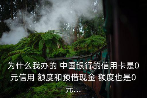 為什么我辦的 中國銀行的信用卡是0元信用 額度和預借現(xiàn)金 額度也是0元...