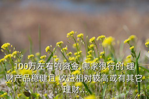 100萬(wàn)左右的資金,哪家很行的 理財(cái)產(chǎn)品穩(wěn)健且 收益相對(duì)較高或有其它 理財(cái)...