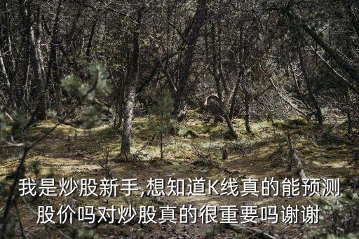 我是炒股新手,想知道K線真的能預(yù)測股價嗎對炒股真的很重要嗎謝謝