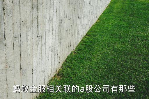螞蟻金服相關聯(lián)的a股公司有那些
