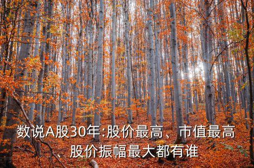 數(shù)說(shuō)A股30年:股價(jià)最高、市值最高、股價(jià)振幅最大都有誰(shuí)