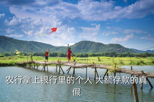 農行掌上銀行里的個人 大額存款的真假