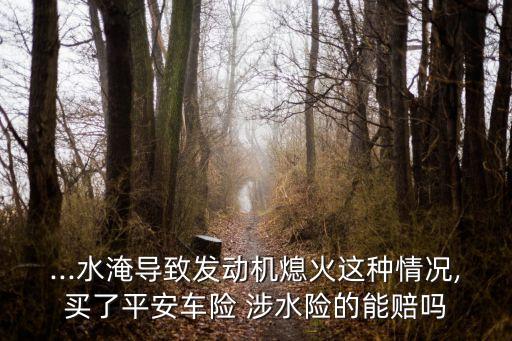 ...水淹導(dǎo)致發(fā)動(dòng)機(jī)熄火這種情況,買(mǎi)了平安車(chē)險(xiǎn) 涉水險(xiǎn)的能賠嗎
