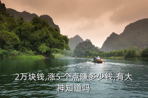 2萬塊錢,漲5 個點(diǎn)賺多少錢,有大神知道嗎