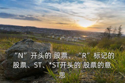 “N”開頭的 股票、“R”標(biāo)記的 股票、ST、*ST開頭的 股票的意思