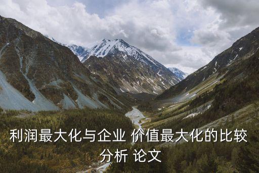 利潤最大化與企業(yè) 價(jià)值最大化的比較 分析 論文
