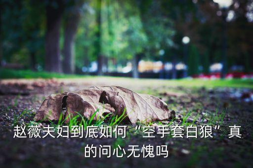  趙薇夫婦到底如何“空手套白狼”真的問(wèn)心無(wú)愧嗎