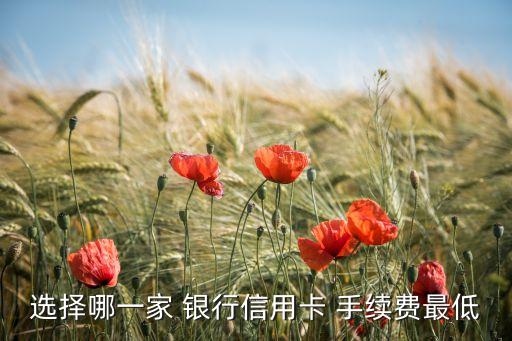 低手續(xù)費(fèi)銀行,什么銀行pos機(jī)手續(xù)費(fèi)低