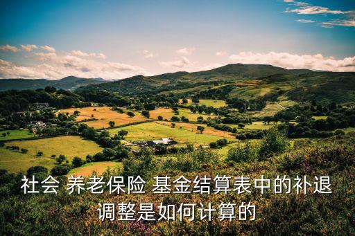 社會 養(yǎng)老保險 基金結(jié)算表中的補(bǔ)退調(diào)整是如何計算的