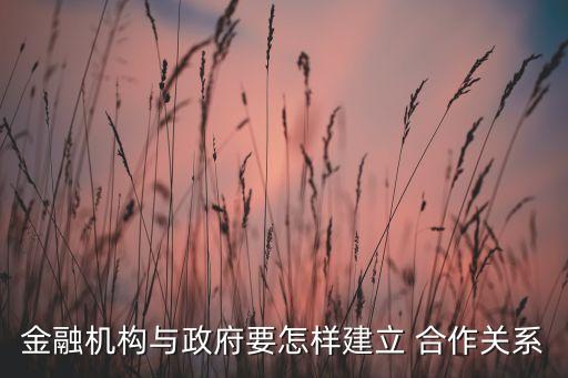 金融機構與政府要怎樣建立 合作關系