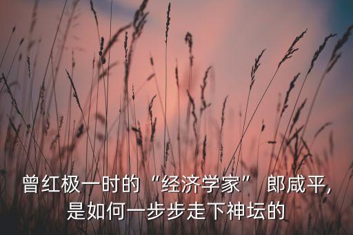 曾紅極一時的“經(jīng)濟(jì)學(xué)家” 郎咸平,是如何一步步走下神壇的