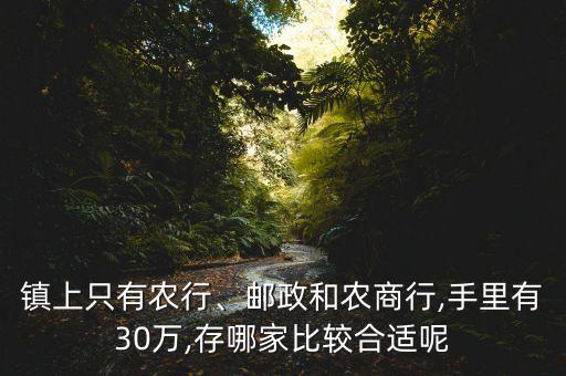 鎮(zhèn)上只有農(nóng)行、郵政和農(nóng)商行,手里有30萬(wàn),存哪家比較合適呢