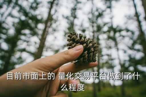 量化投資的應(yīng)用現(xiàn)狀及發(fā)展前景,無(wú)線(xiàn)網(wǎng)絡(luò)技術(shù)應(yīng)用現(xiàn)狀及發(fā)展前景