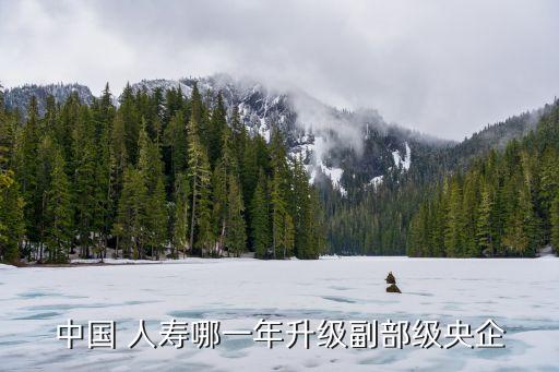 中國 人壽哪一年升級(jí)副部級(jí)央企