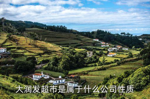 大潤發(fā)超市是屬于什么公司性質