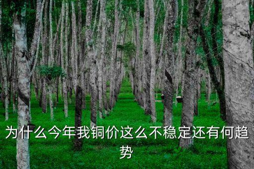 為什么今年我銅價(jià)這么不穩(wěn)定還有何趨勢