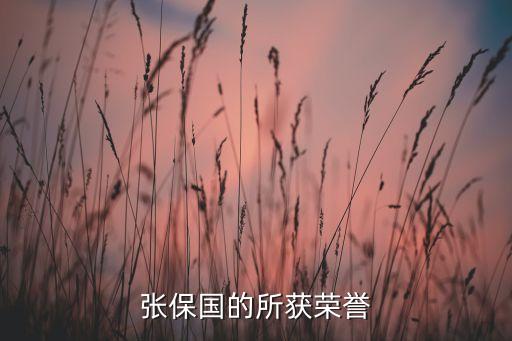 張保國的所獲榮譽(yù)