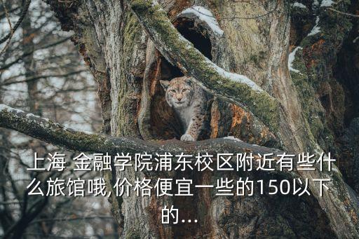  上海 金融學(xué)院浦東校區(qū)附近有些什么旅館哦,價格便宜一些的150以下的...