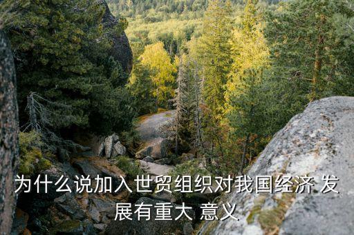 貿(mào)易發(fā)展對(duì)中國的意義,海外貿(mào)易發(fā)展的歷史意義