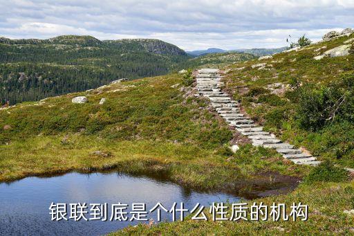  銀聯(lián)到底是個什么性質(zhì)的機(jī)構(gòu)