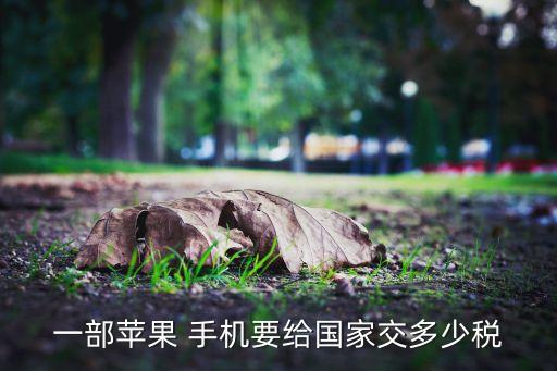 一部蘋(píng)果 手機(jī)要給國(guó)家交多少稅