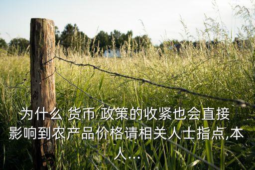 貨幣政策對中國農(nóng)村經(jīng)濟(jì)的影響
