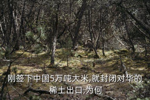 中國稀土被誰操控