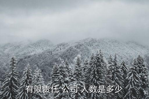 有限責任 公司 人數(shù)是多少