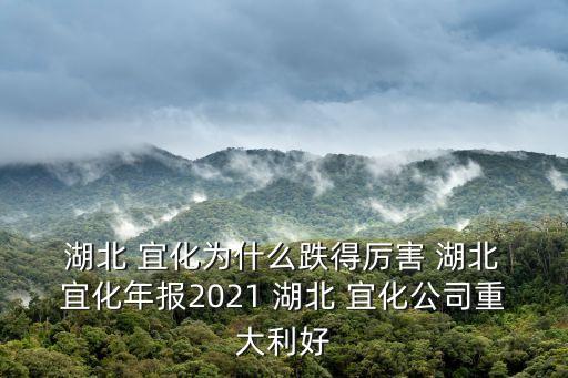 湖北宜化化工股份有限公司財(cái)務(wù)報(bào)表