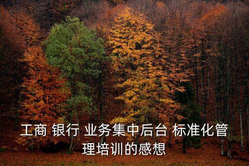 工商 銀行 業(yè)務(wù)集中后臺 標準化管理培訓(xùn)的感想