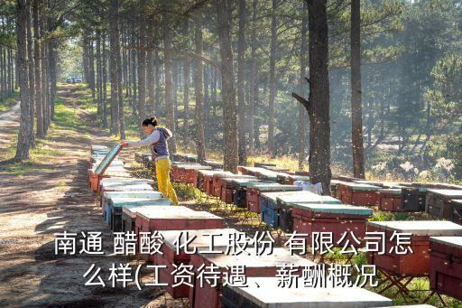  南通 醋酸 化工股份 有限公司怎么樣(工資待遇、薪酬概況