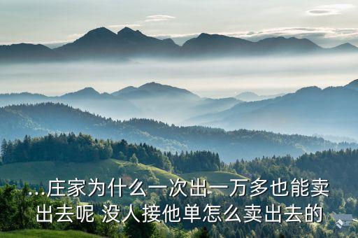 ...莊家為什么一次出一萬(wàn)多也能賣出去呢 沒人接他單怎么賣出去的
