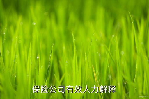 中國(guó)人壽發(fā)展下屬