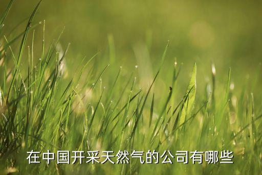在中國(guó)開采天然氣的公司有哪些